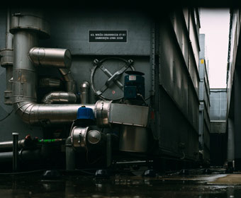 How market shifts affect seafood selection